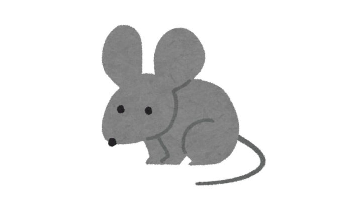 ネズミ